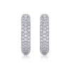 New Cross-Border S925 Silver Corner Starlight Earrings Moissanite Hoop Live Temu Hot Selling Earrings Wholesale