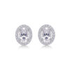 Cross-border S925 silver earrings Moissanite new hoop temu Amazon hot-selling earrings wholesale