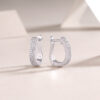 S925 Silver Slow Rhythm Earrings Moissanite New Hoop Earrings Live Cross-border Hot Selling Jewelry Wholesale