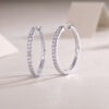 Cross-border S925 Silver Light of Joy Earrings Moissanite New Hoop Temu Amazon Hot Selling Earrings Wholesale